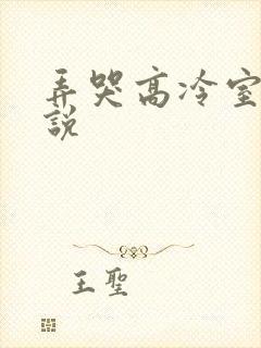 弄哭高冷室友小说