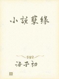 小说孽缘封面
