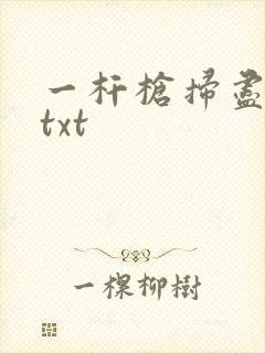 一杆枪扫尽全家txt
