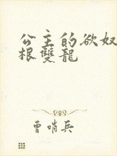 公主的欲奴h四根双龙封面