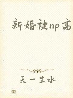 新婚被np高h