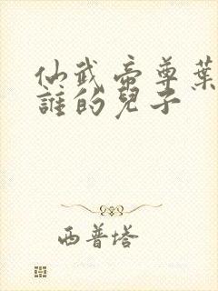 仙武帝尊叶辰是谁的儿子