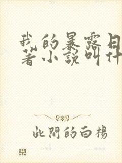 我的暴露日记原著小说叫什么封面