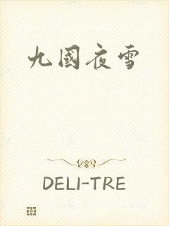 九国夜雪