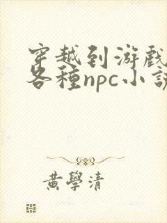 穿越到游戏里和各种npc小说