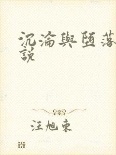 沉沦与堕落的小说