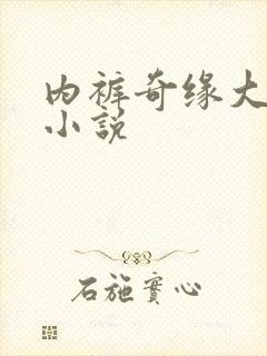 内裤奇缘大团结小说