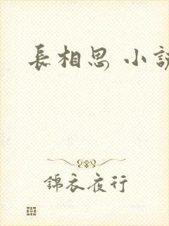 长相思 小说
