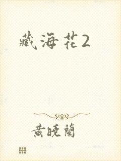 藏海花2