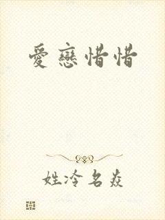 爱恋惜惜封面