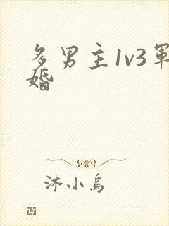 多男主1v3军婚