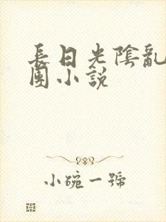 长日光阴乱作一团小说