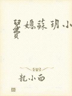 儿媳苏玥小说免费