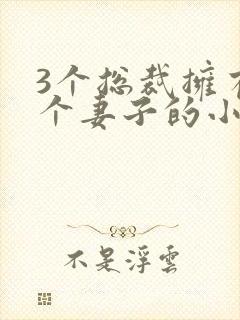 3个总裁拥有一个妻子的小说封面