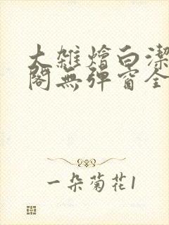 大杂烩白洁笔趣阁无弹窗全本封面