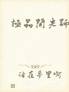极品开光师封面