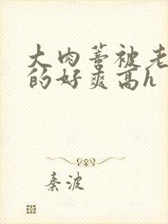 大肉蒂被老头嘬的好爽高h