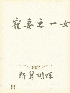 宠妻之一女二夫封面