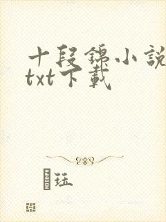 十段锦小说全本txt下载