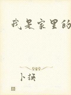 我是家里的皇帝封面