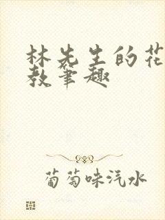 林先生的花式管教笔趣