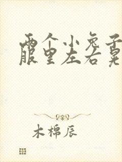 两个小兔子在衣服里左右晃