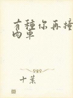 有种你再撞一下肉车