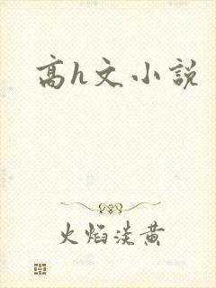 高h文小说