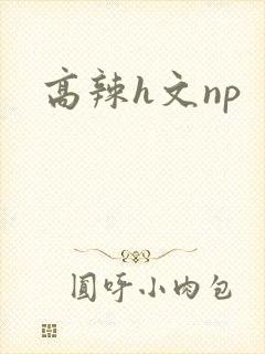 高辣h文np