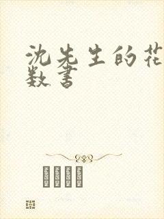 沈先生的花式调数书