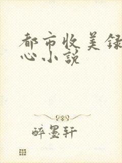 都市收美录宁素心小说