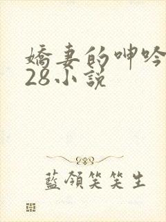 娇妻的呻吟1—28小说