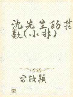 沈先生的花式调数(小非)