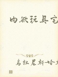 肉欲玩具宅配人封面