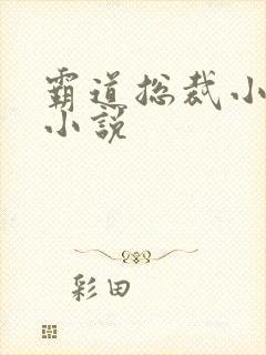 霸道总裁小娇妻小说