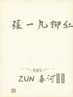 张一凡柳红