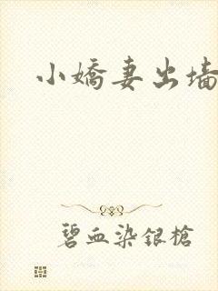 小娇妻出墙记封面