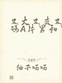 又大又爽又黄无码A片男和男