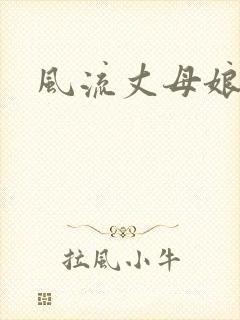 风流丈母娘封面