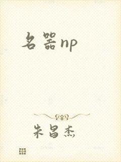 名器np
