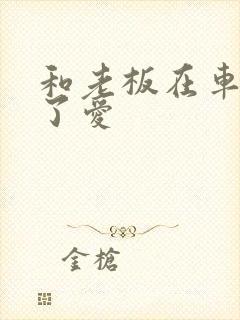 和老板在车里做了爱封面