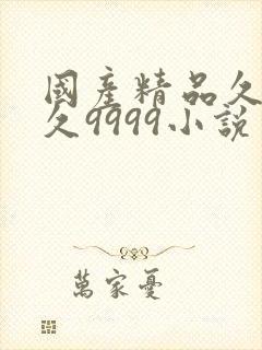 国产精品久久久久9999小说