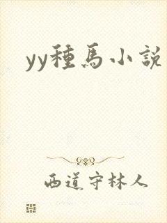 yy种马小说