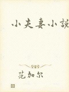 小夫妻小说