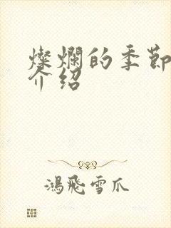 灿烂的季节剧情介绍封面