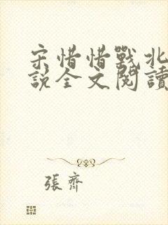 宋惜惜战北望小说全文阅读