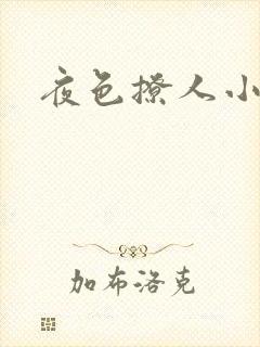 夜色撩人小说封面