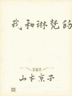 我和琳梵的故事封面