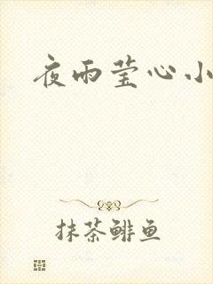 夜雨莹心小说