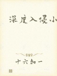 深度入侵小说封面